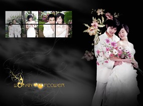 花卉花纹婚纱背景PSD下载